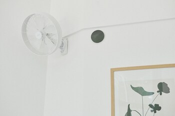 by the forest into this place