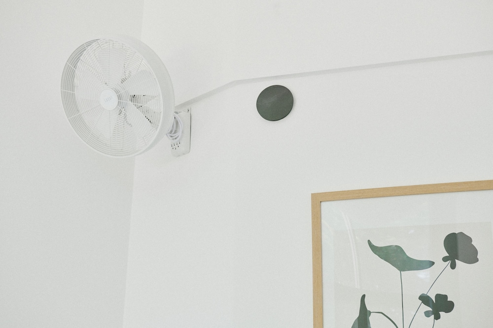 by the forest into this place