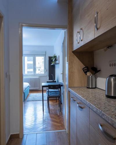 belgrade center apartment