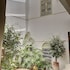 riad dar chacha