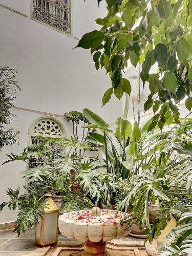 marrakech