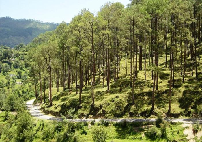 hotel uttarakhand