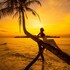 seacret kohkood resort