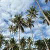 seacret kohkood resort