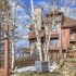 mont tremblant