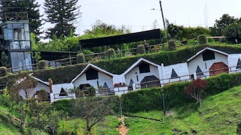 container and hobbit glamping