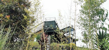 container and hobbit glamping