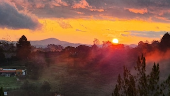 container and hobbit glamping