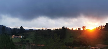 container and hobbit glamping