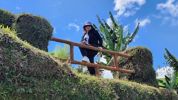 container and hobbit glamping