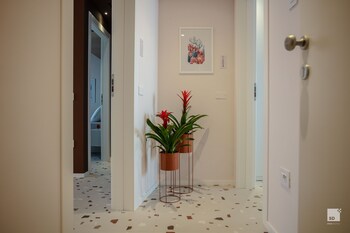 the lady c high apartments