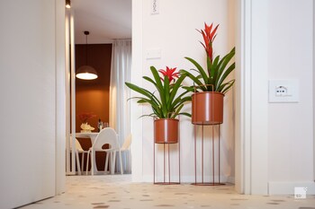 the lady c high apartments