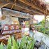 skywatch cottage