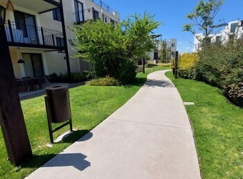 san miguel de allende