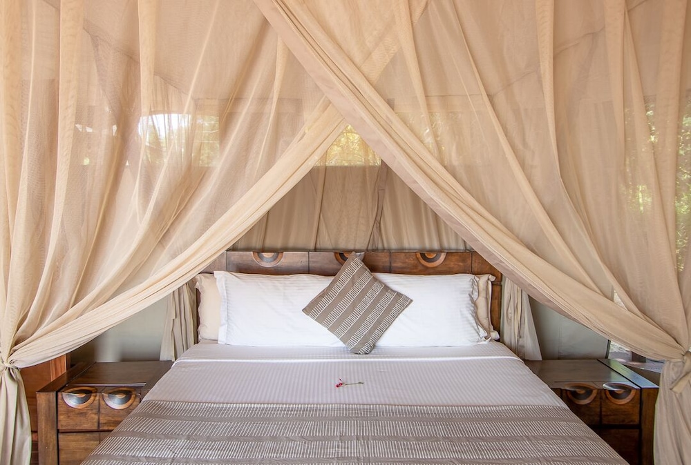 south luangwa national park