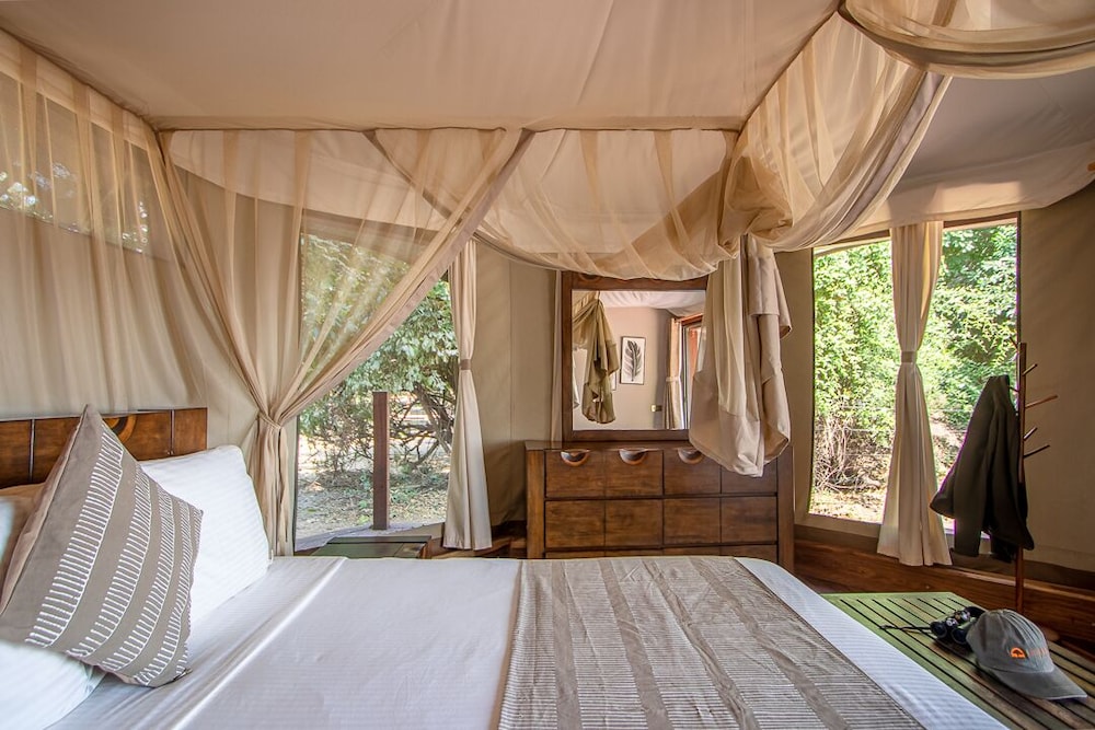 south luangwa national park