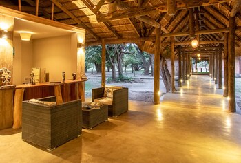 south luangwa national park