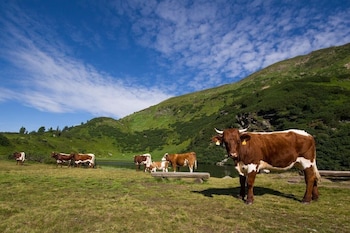 holzboxen planneralm