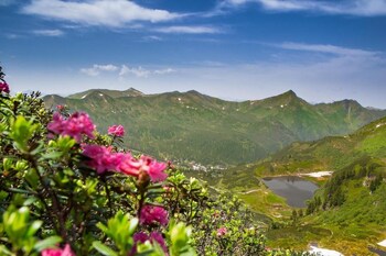 holzboxen planneralm