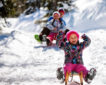 holzboxen planneralm