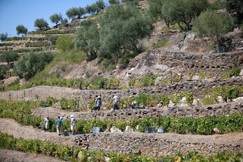 quinta da faisca agro turismo