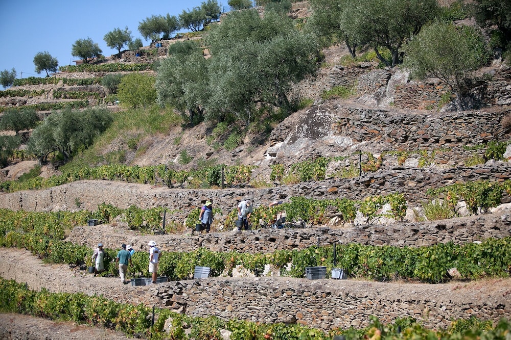 quinta da faisca agro turismo
