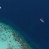 komodo pirate boat phinisi liveaboard