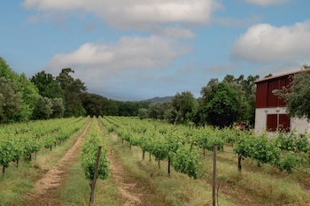 quinta de chousas braga agrotourism