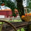 quinta de chousas braga agrotourism