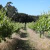 quinta de chousas braga agrotourism