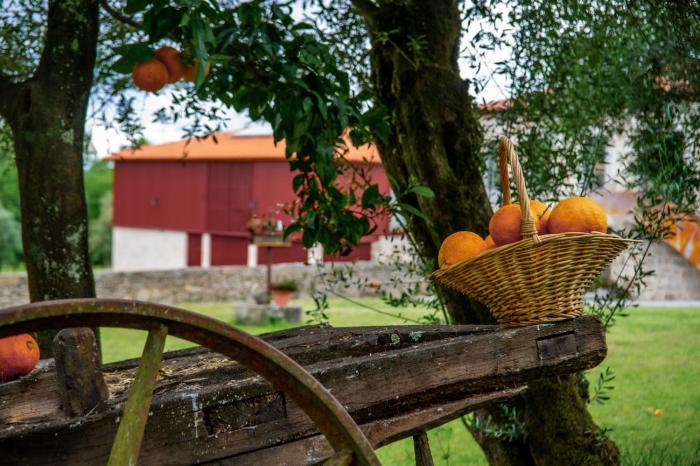 quinta de chousas braga agrotourism