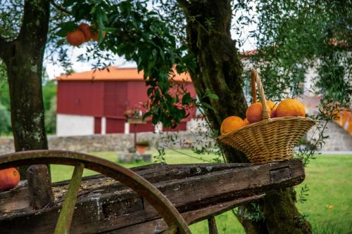 quinta de chousas braga agrotourism