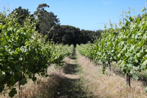 quinta de chousas braga agrotourism
