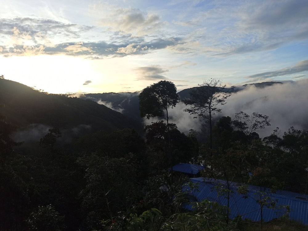 samana