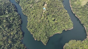 samana