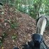 reserva ecoturistica villa diosa