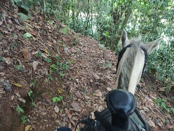 reserva ecoturistica villa diosa