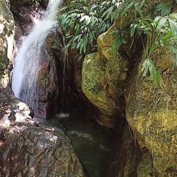 samana