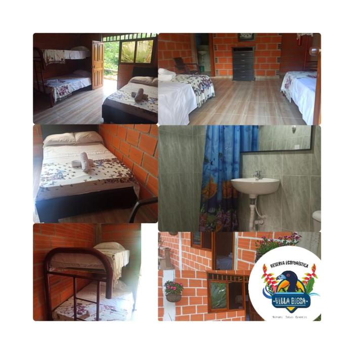 reserva ecoturistica villa diosa