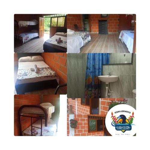 reserva ecoturistica villa diosa