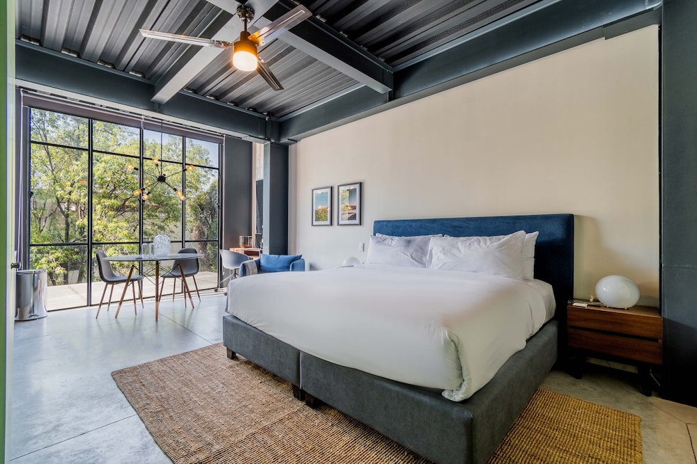 wynwood house queretaro