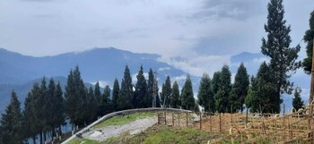 Buddha's Mirror Mountain Retreat,Gangtok>>Aritar,2 star