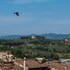 siena