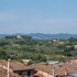 siena