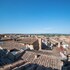 siena