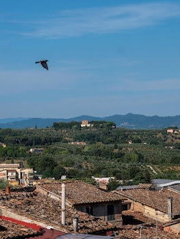 siena