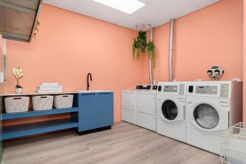 neighbourgood newlands