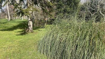 les deux chenes