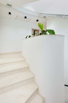 boutique garden rooms