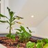 boutique garden rooms